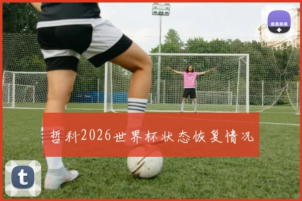 哲科2026世界杯状态恢复情况