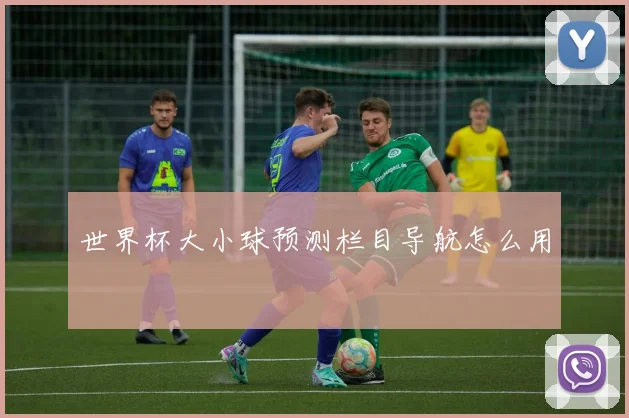 世界杯大小球预测栏目导航怎么用