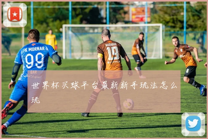 世界杯买球平台最新新手玩法怎么玩