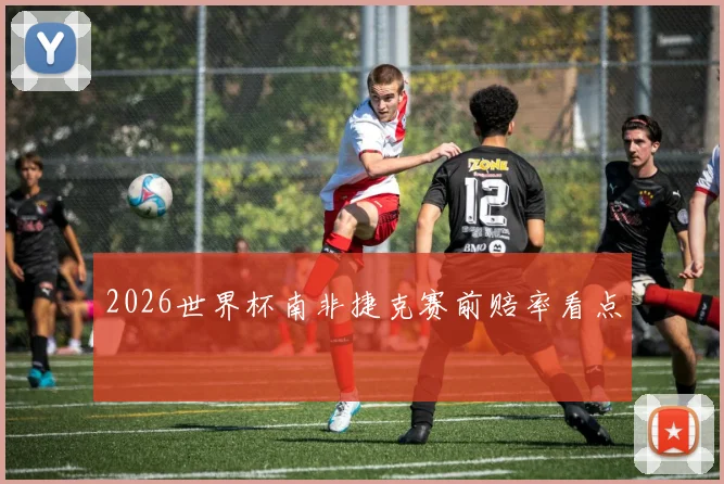 2026世界杯南非捷克赛前赔率看点