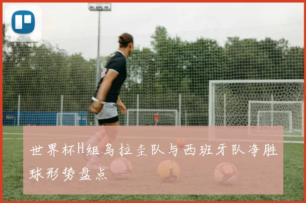 世界杯H组乌拉圭队与西班牙队净胜球形势盘点