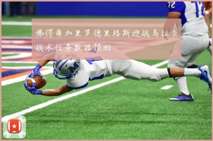 佛得角加里罗德里格斯迎战乌拉圭战术任务数据预测